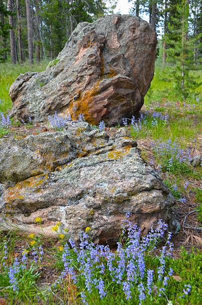 Rock formation in wildflowers stock photo