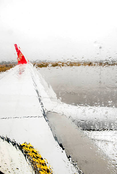 Rainy Day Flight stock photo