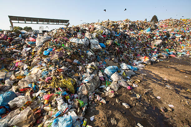 istock Domestic garbage in landfill. 500342345
