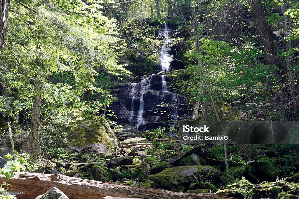 cascata - Foto de stock de Appalachia royalty-free