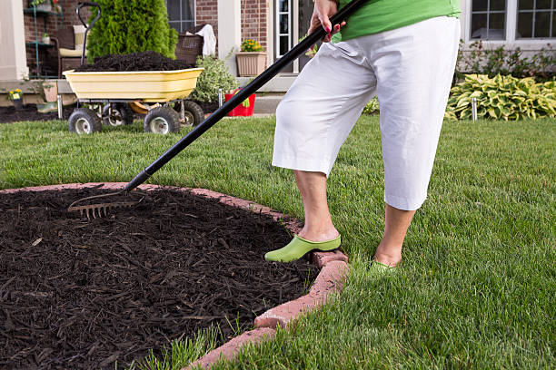 Senior woman mulching a flowerbed Close up view of the legs of a senior woman in white pants mulching a flowerbed spreading the mulch with a rake erosion control stock pictures, royalty-free photos & images