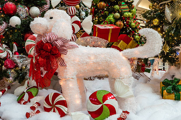 white lighted Christmas dog illumination