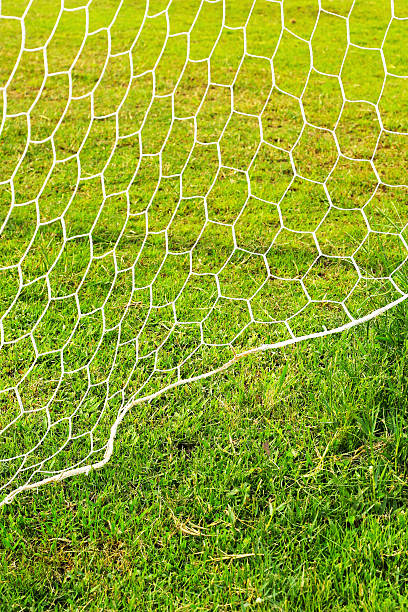 istock Goal football on green grass. 500359257