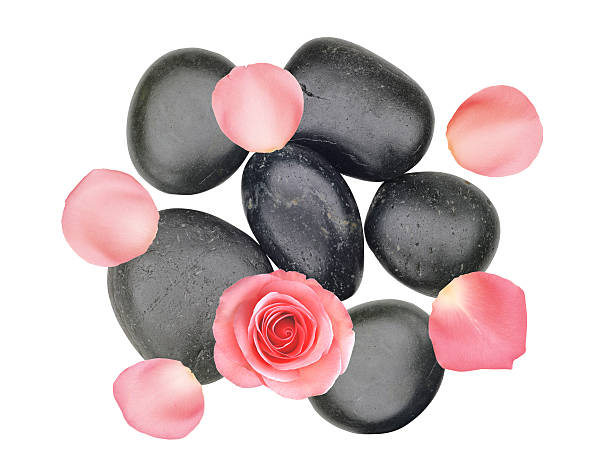 preto spa pedras e rosa com pétalas de rosa isolado - morgan rose imagens e fotografias de stock