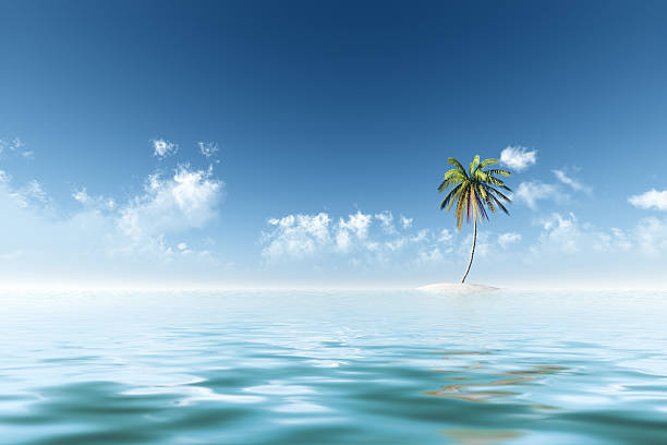 istock coconut island sunshine 500360045