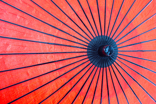 Red japanese with black branches umbrella closeup