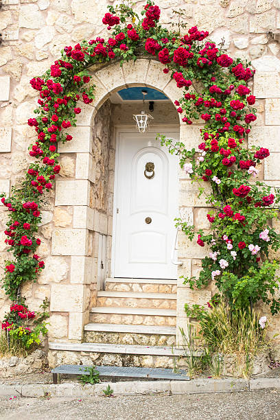 Gate of pink roses.
