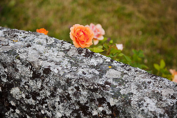 Stone wall as a texture or background.