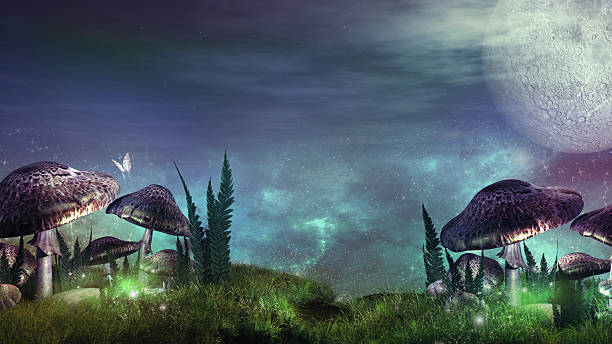 istock Night over fairytale meadow 500364682