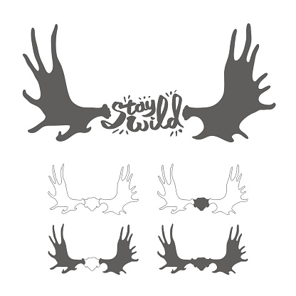 Hand drawn vintage antlers. 