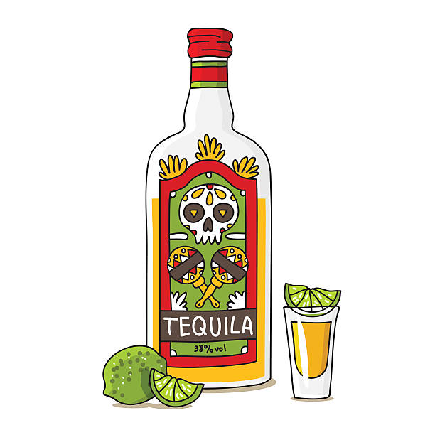 Bottle of tequila with lime Bottle of tequila with lime. Vector illustration on a white background, painted by hand. stacking food containers stock illustrations