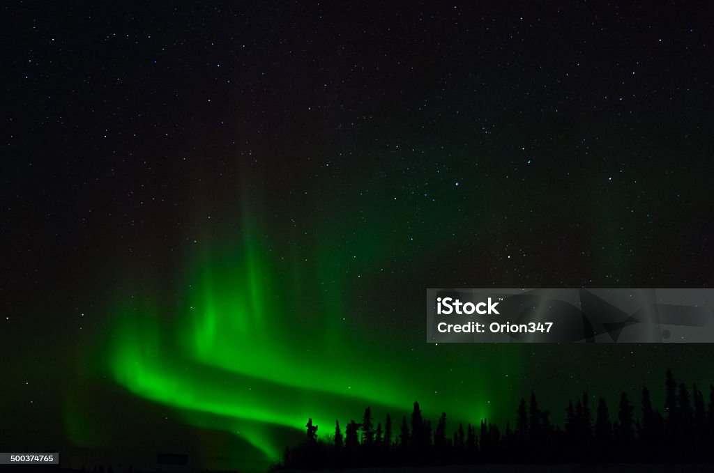 Rising Green - Lizenzfrei Alaska - US-Bundesstaat Stock-Foto