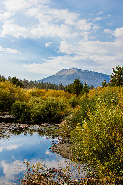 istock Blue skys being reflected in a creek 500375071