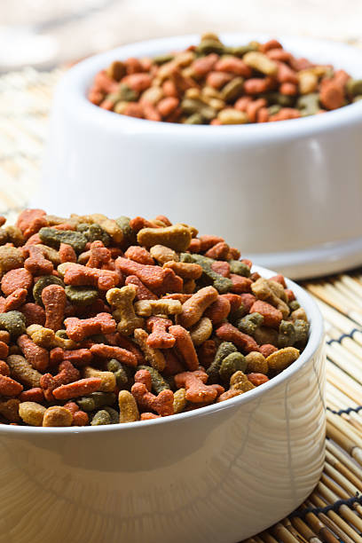 istock Dogs food 500376025