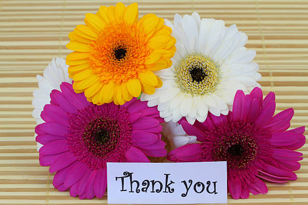 istock Thank you card with colorful gerbera daisies 500376237