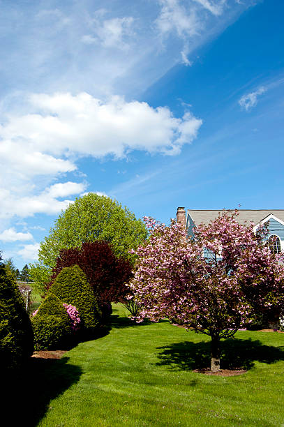 istock Suburban Landscaping with Cloudy Blue Sky and Green Lawn 500376549