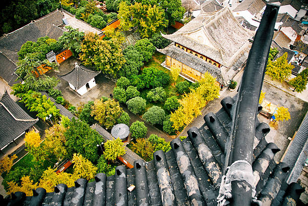 View from a pagoda top stock photo