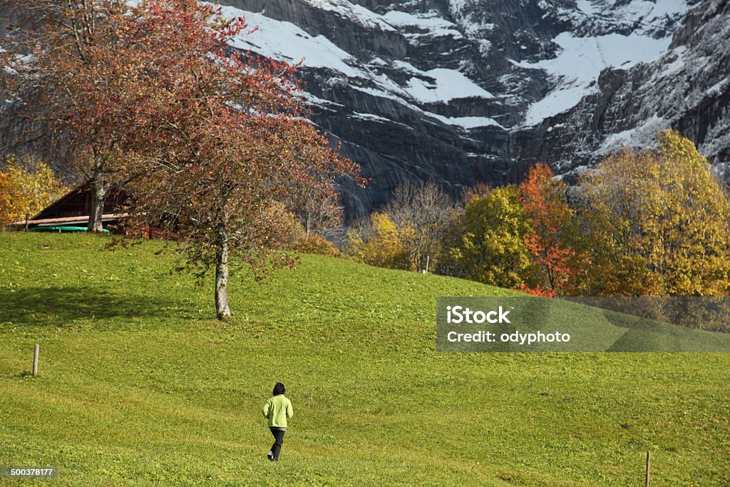 Switzerland Grindelwald, Switzerland Agriculture Stock Photo