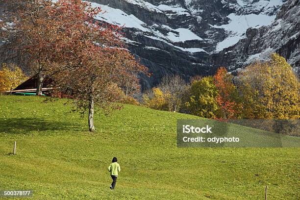 Switzerland Stock Photo - Download Image Now - Agriculture, Autumn, Bern