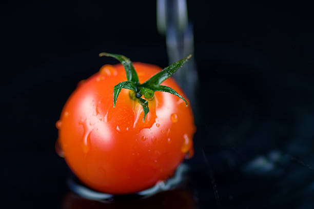 Tomato