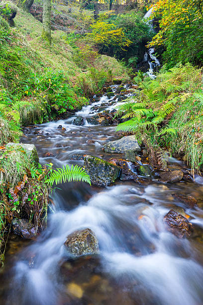 istock Waterfall Dartmoor National Park England 500387066