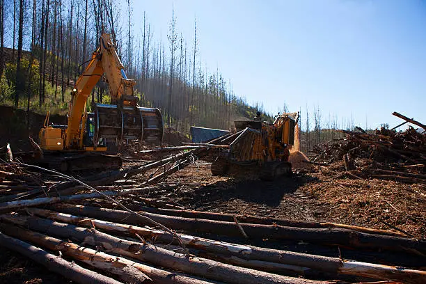 deforesting machines