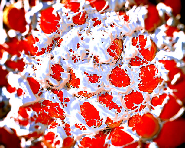istock Fat cells or adipose tissue showing fat 500389067