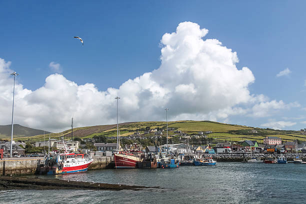 Fishing harbor of Dingle Dingle, Ireland - July 27, 2009: Fishing harbor of Dingle. The small town of Dingle with its colorful fishing harbor is one of the touristic highlights on the Kerry peninsula. dingle peninsula stock pictures, royalty-free photos & images