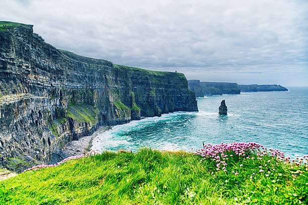 klify moher, irlandia - cliffs of moher cliff republic of ireland europe zdjęcia i obrazy z banku zdjęć