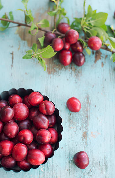 Fresh red plums stock photo