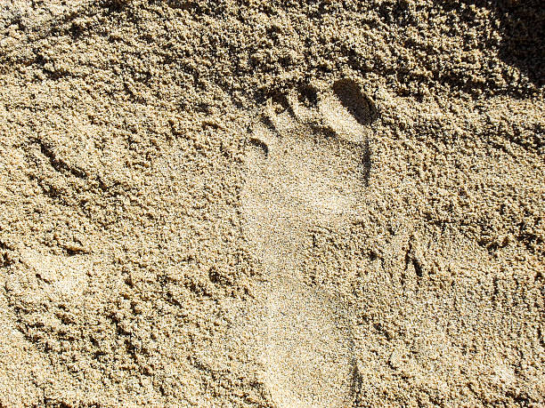 istock Footprint in Sand 500390755