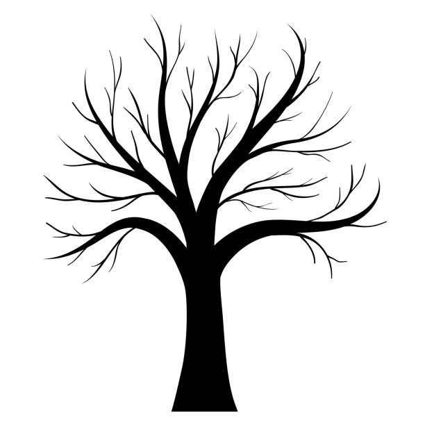 벡터 나무 실루엣 - tree silhouette branch bare tree stock illustrations