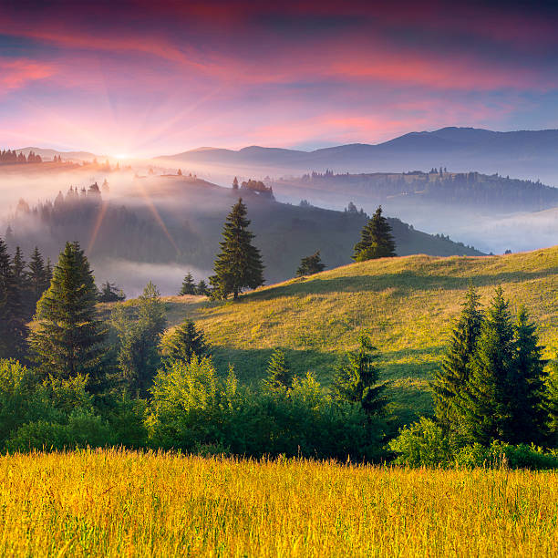 istock Foggy summer morning in the mountains. 500391315