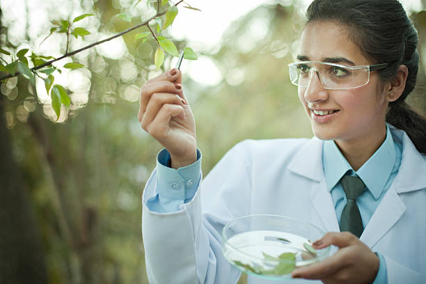 joven botánico de la obtención de la muestra de leafs. - examining medicine healthcare and medicine beauty in nature fotografías e imágenes de stock