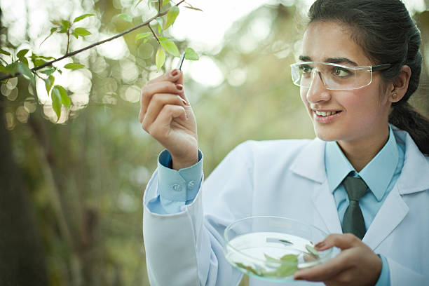 istock Young female Botanist collecting sample of leafs. 500391663