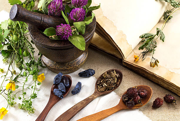 istock Herbal medicine still life 3 500392861