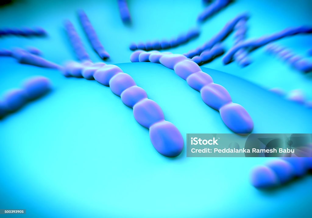Streptococcus pneumoniae, bakterie Grafika - Zbiór zdjęć royalty-free (Ból gardła)