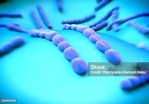 Streptococcus Pneumoniae Bakterie Grafika - zdjęcia stockowe i więcej obrazów Ból gardła - Ból gardła, Komórka, Paciorkowiec