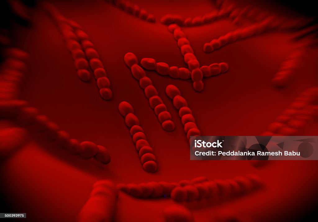 Bactéria Streptococcus pneumoniae, desenho - Royalty-free Angina Foto de stock