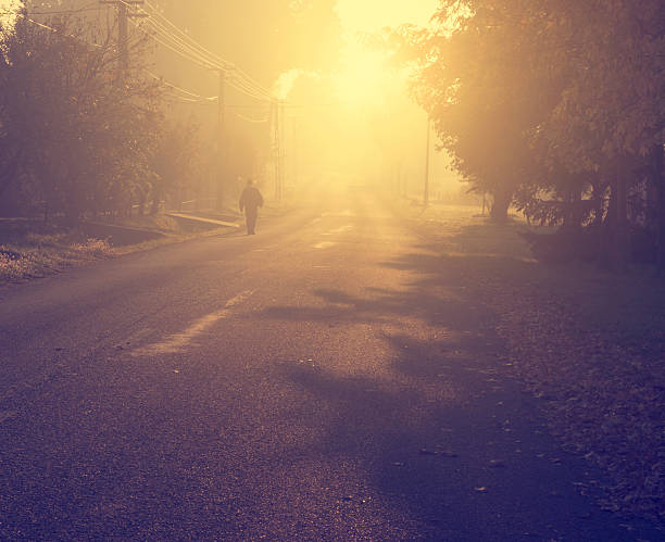 istock Foggy forest road in sunrise 500394139