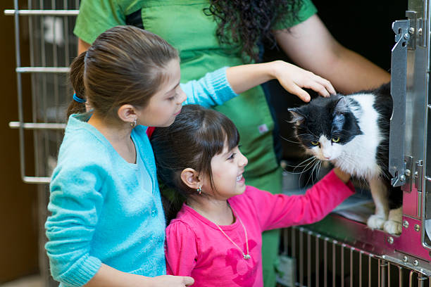 adoption d'un animal - refuge pour animaux photos et images de collection