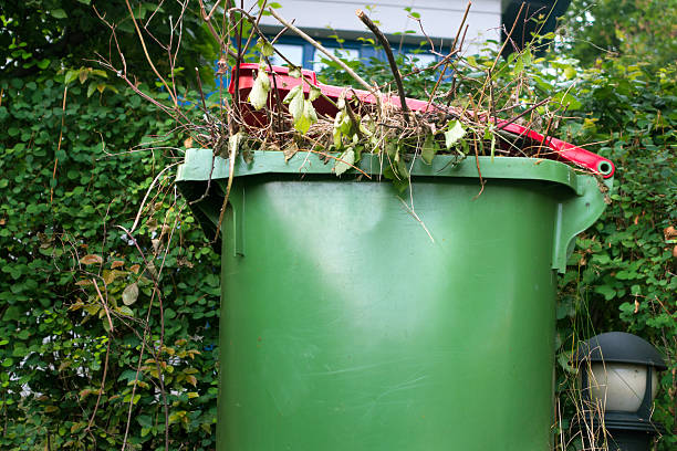 los residuos orgánicos en un contenedor de reciclaje al aire libre - japanese maple autumn leaf tree fotografías e imágenes de stock