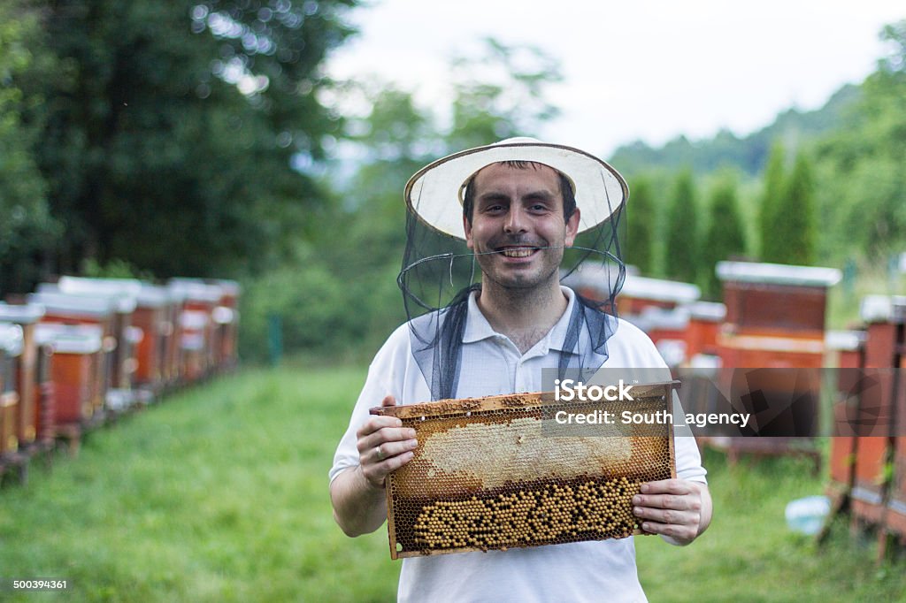 笑顔の男性のポートレート、養蜂家 - ハナバチのロイヤリティフリーストックフォト
