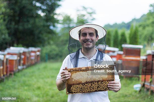 笑顔の男性のポートレート養蜂家 - ハナバチのストックフォトや画像を多数ご用意 - ハナバチ, ロシア, 中年