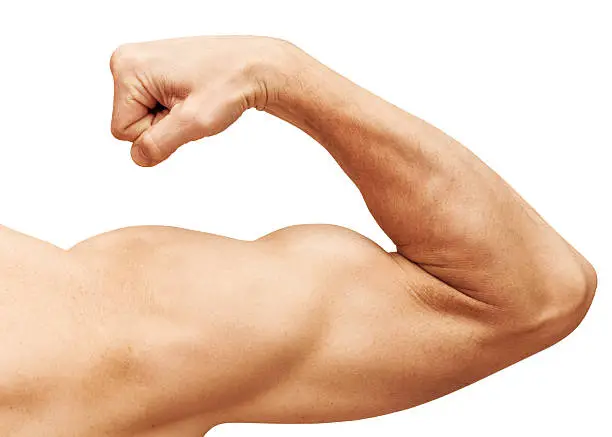 Photo of Strong male arm shows biceps. Close-up photo isolated on white