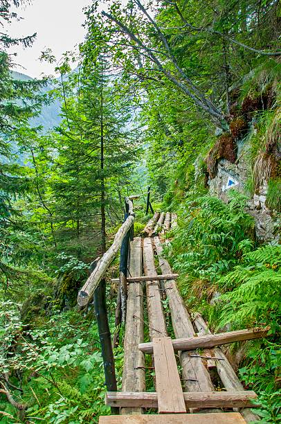 istock Pedestrian bridge in Carpathians mountains 500395344