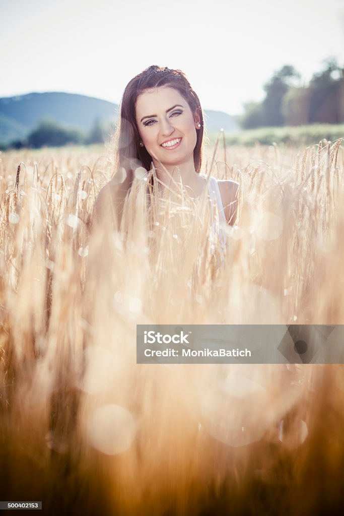 Summer portrait Young beautiful woman sitting in golden wheat. 20-24 Years Stock Photo