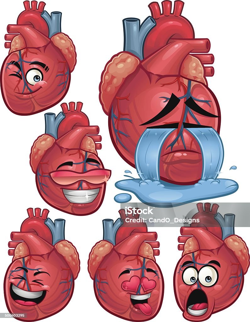 Corazón humano dibujo Conjunto B - arte vectorial de Anatomía libre de derechos