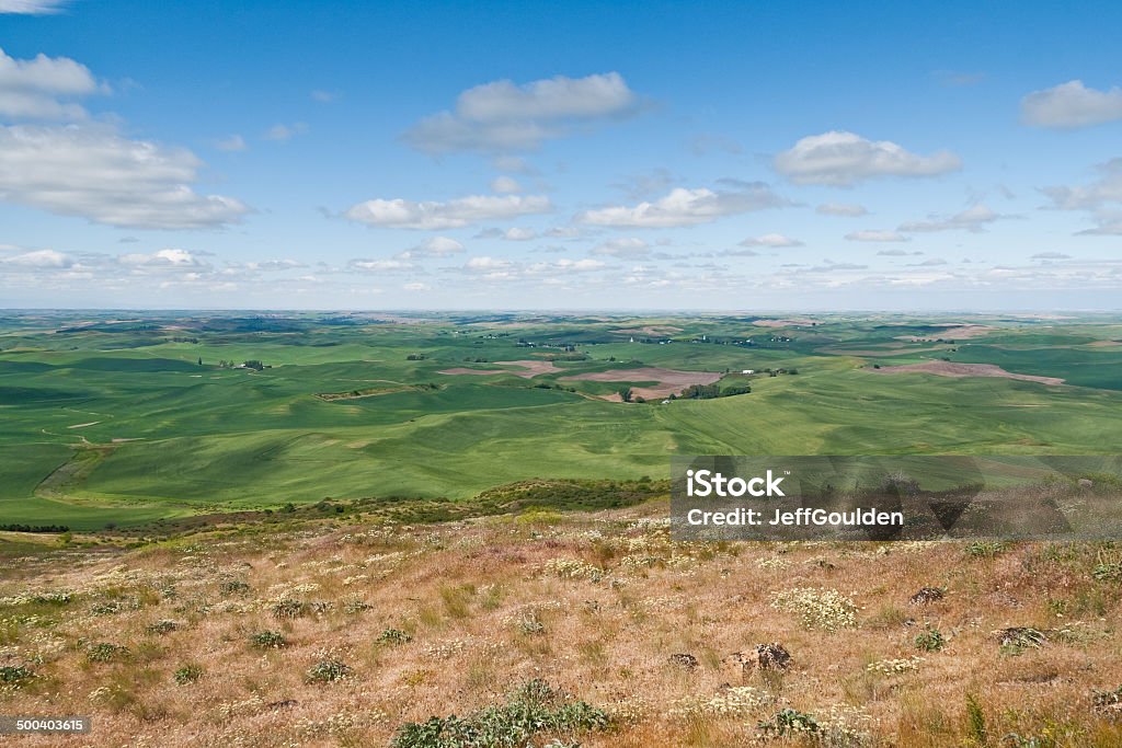 Palouse Überblick - Lizenzfrei Agrarbetrieb Stock-Foto