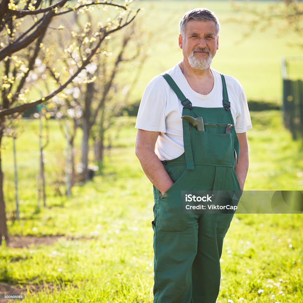 Senior gardener in his garden Portrait of a senior gardener in his garden/orchard (color toned image) Active Lifestyle Stock Photo